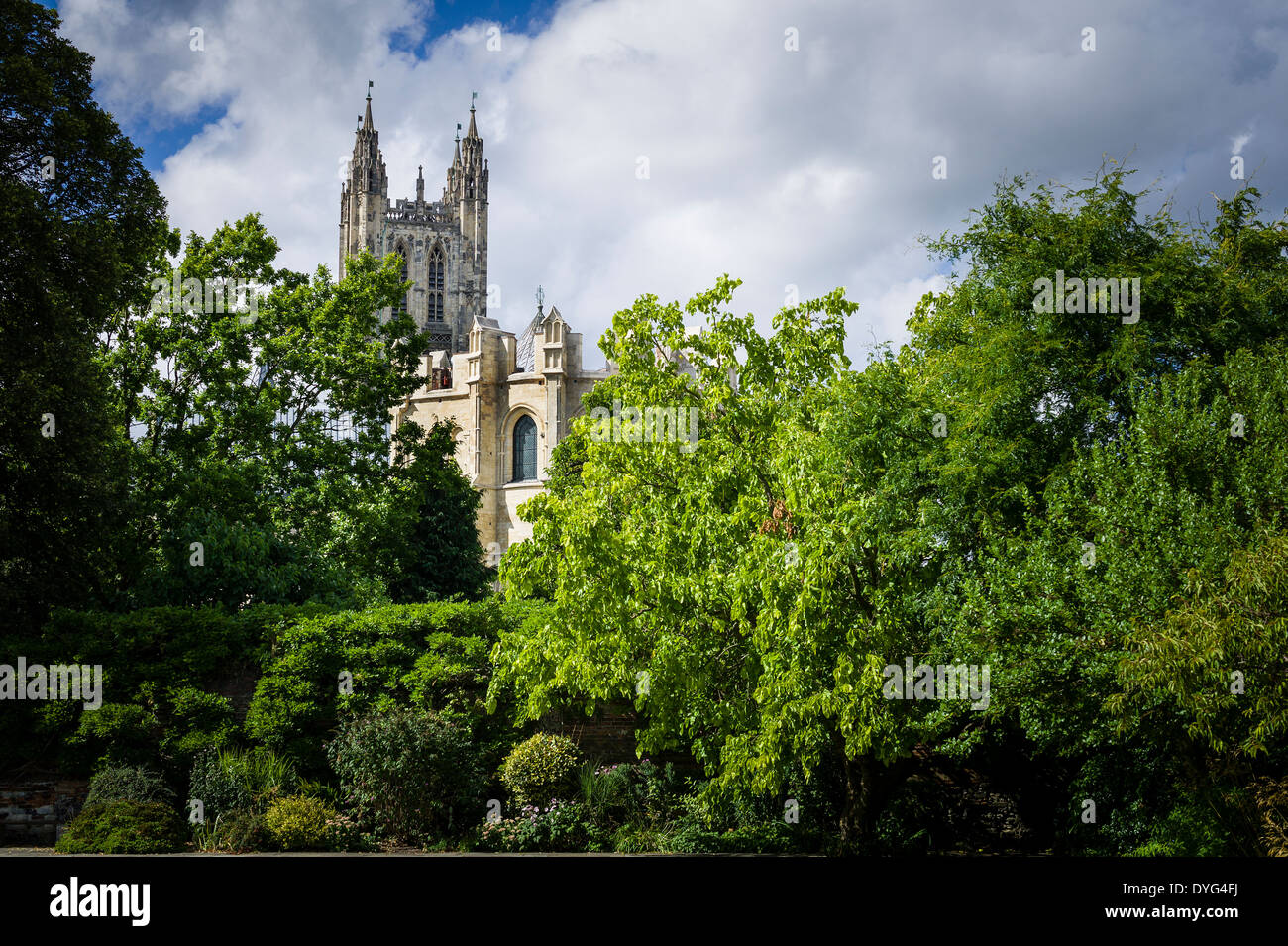 La cattedrale di Canterbury e chiesa in un contesto verdeggiante Foto Stock