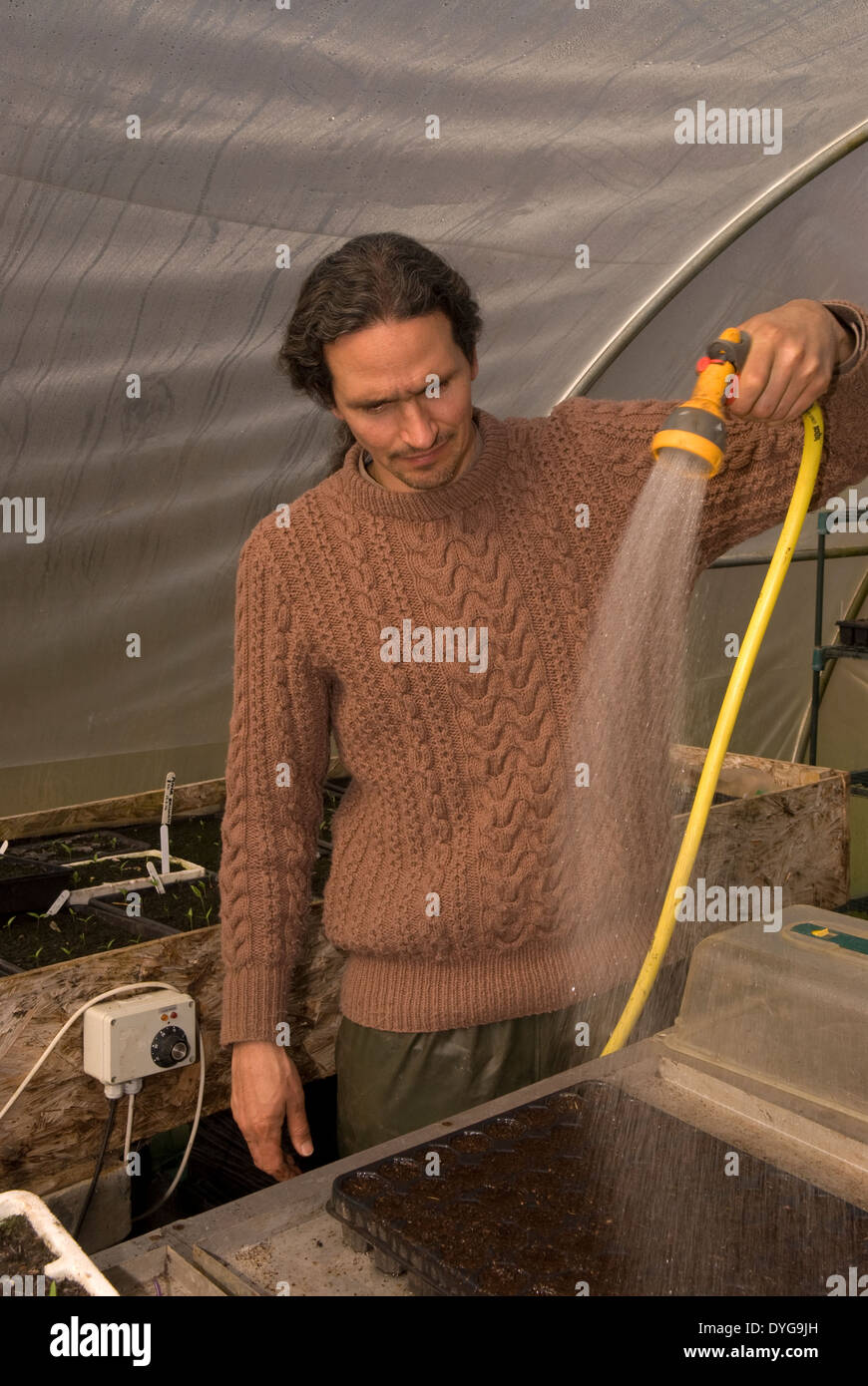 L'uomo nuovo di irrigazione piantine in vaso in serra, Farnham, Surrey, Regno Unito. Foto Stock