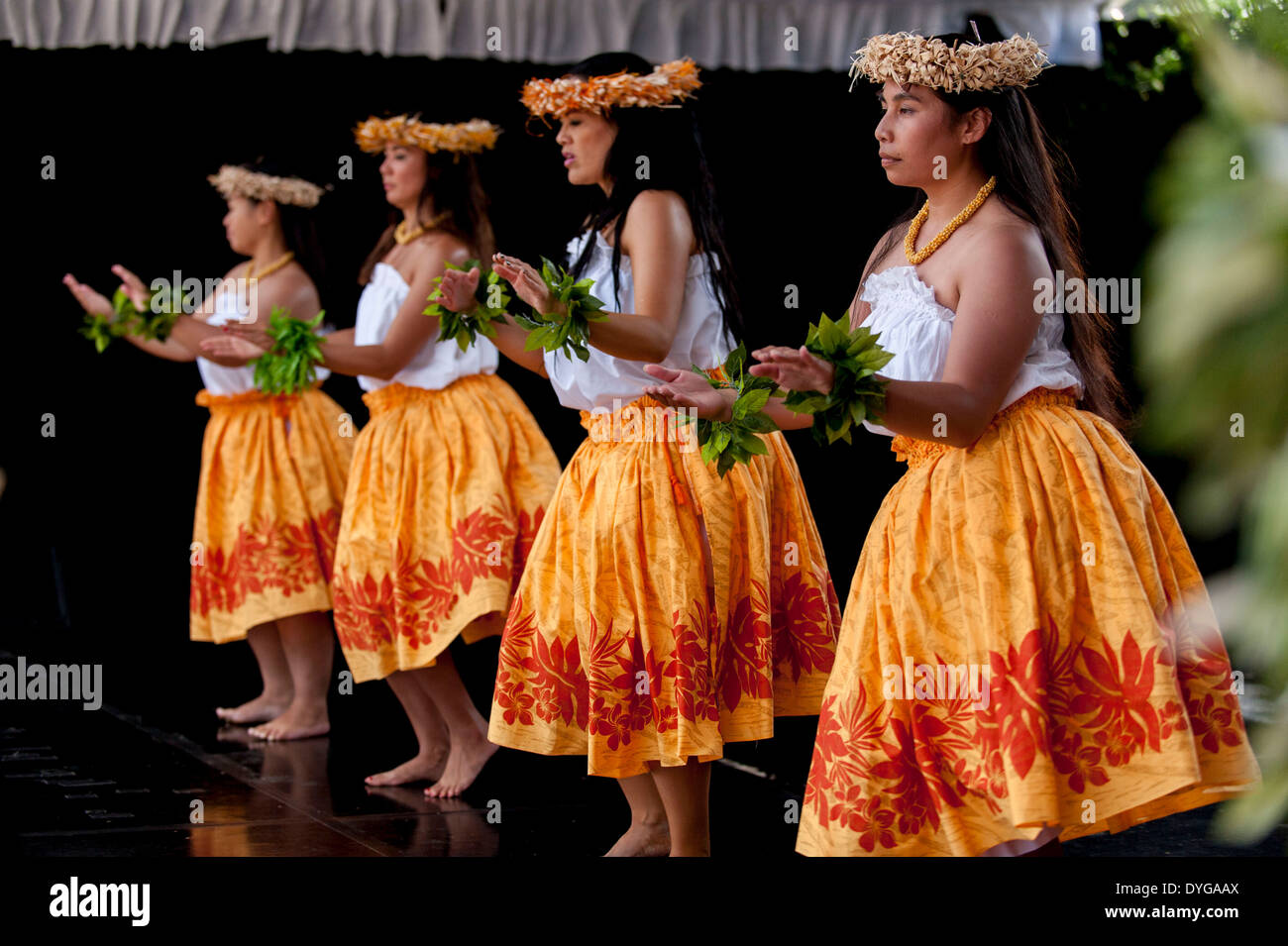 Tradizionale danzatori Hawaiiani eseguire Hula durante il Pasifika festival culturale Marzo 9, 2014 a Auckland, Nuova Zelanda. Foto Stock