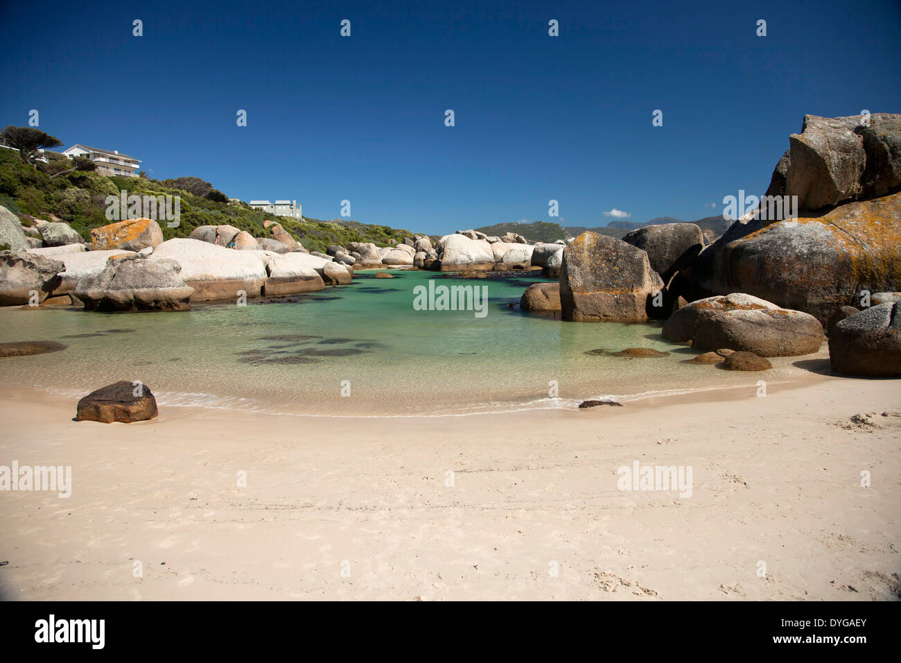 Boulders Beach vicino alla Città di Simon, Cape Town, Western Cape, Sud Africa Foto Stock