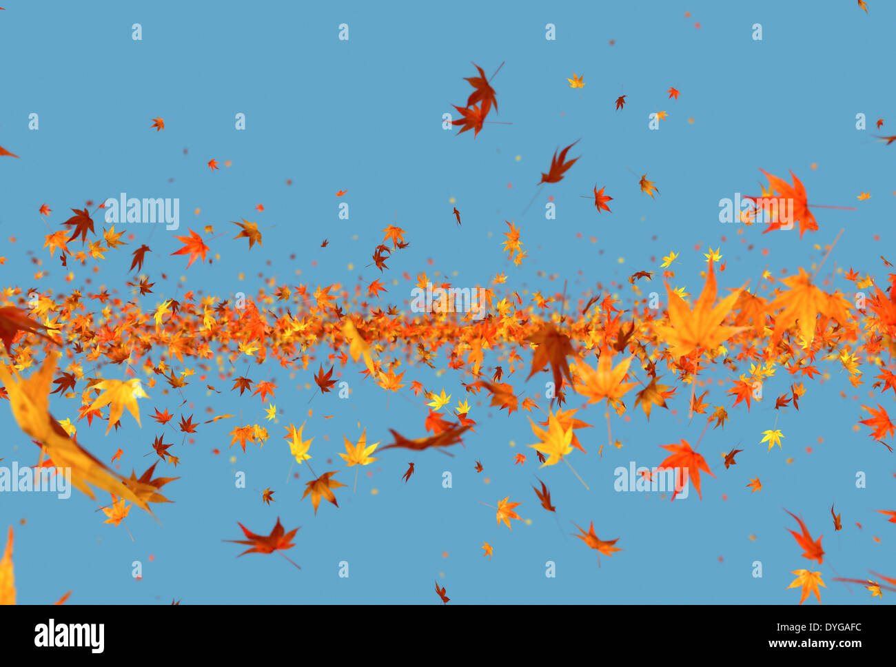 Foglie di autunno Foto Stock