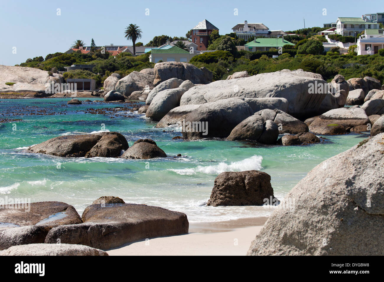 Boulders Beach vicino alla Città di Simon, Cape Town, Western Cape, Sud Africa Foto Stock