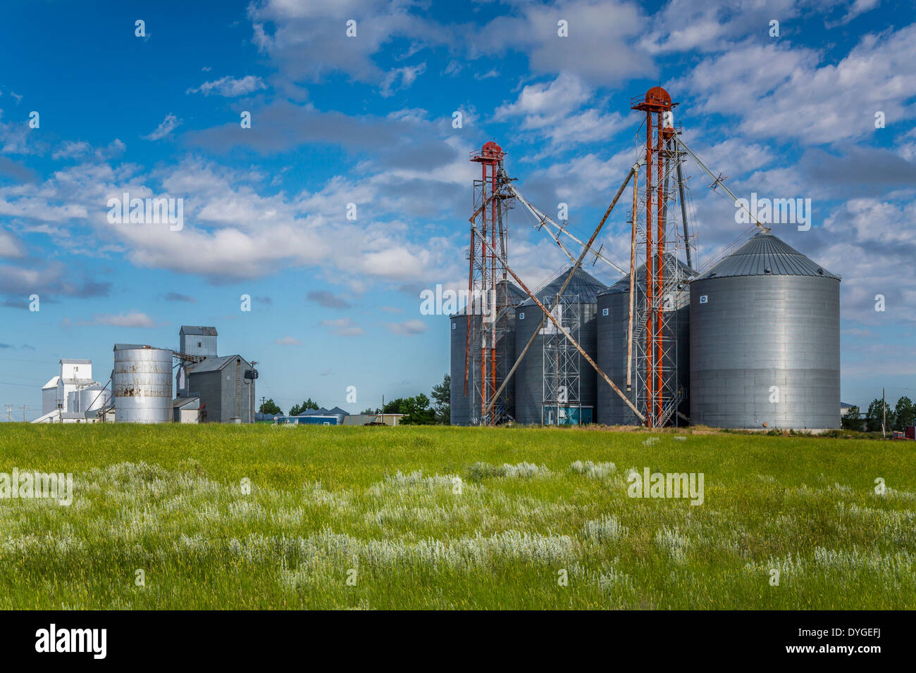 Navigazione deposito di grano strutture vicino Gildford, Montana, USA. Foto Stock