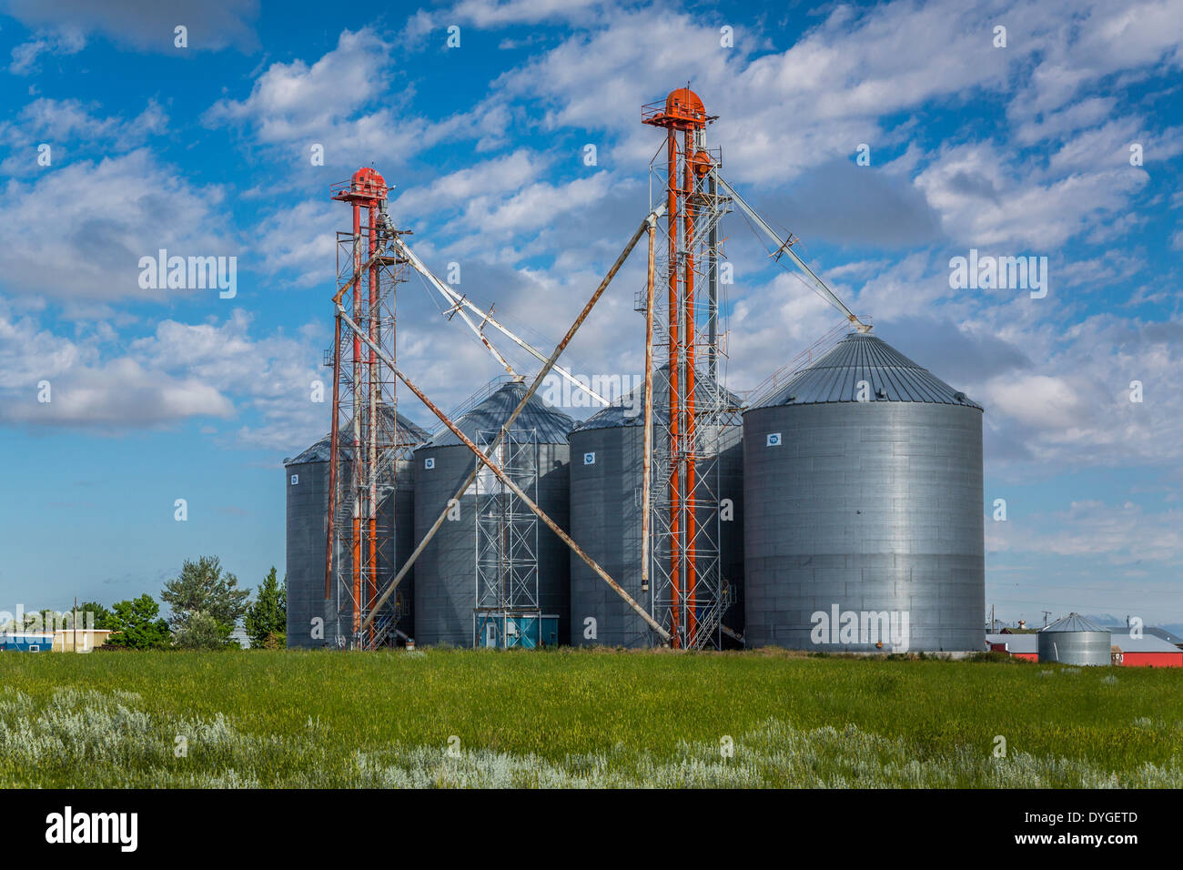 Navigazione deposito di grano strutture vicino Gildford, Montana, USA. Foto Stock