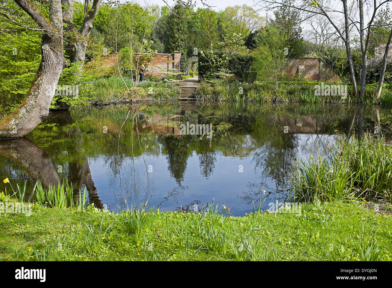 Il giardini premiati a West Green House nel sole di Pasqua in cui un fotografo accanto al laghetto registra le immagini Foto Stock