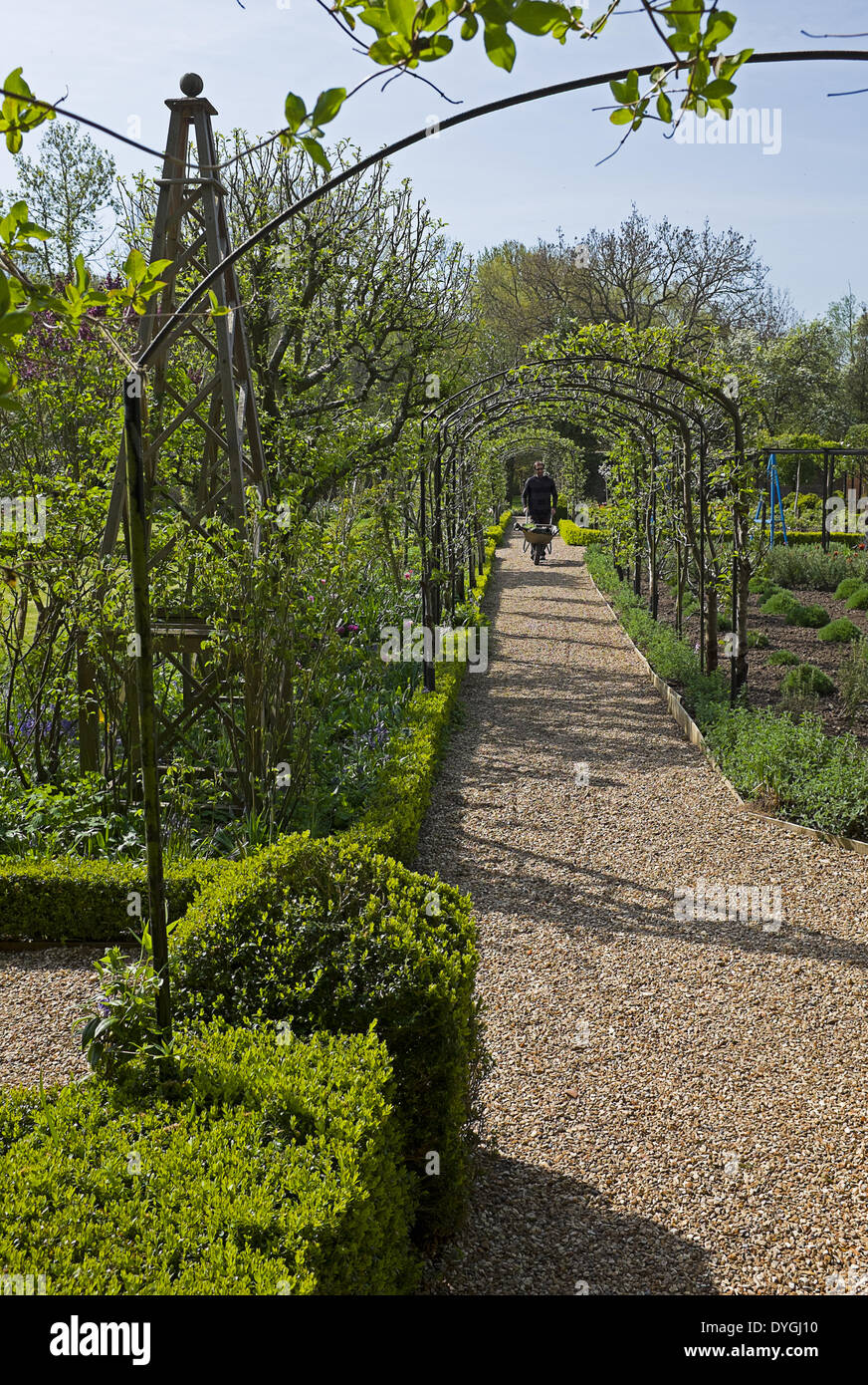 Il giardini premiati a West Green House nel sole di Pasqua dove un giardiniere ruote a Barrow lungo un percorso nel giardino murato Foto Stock
