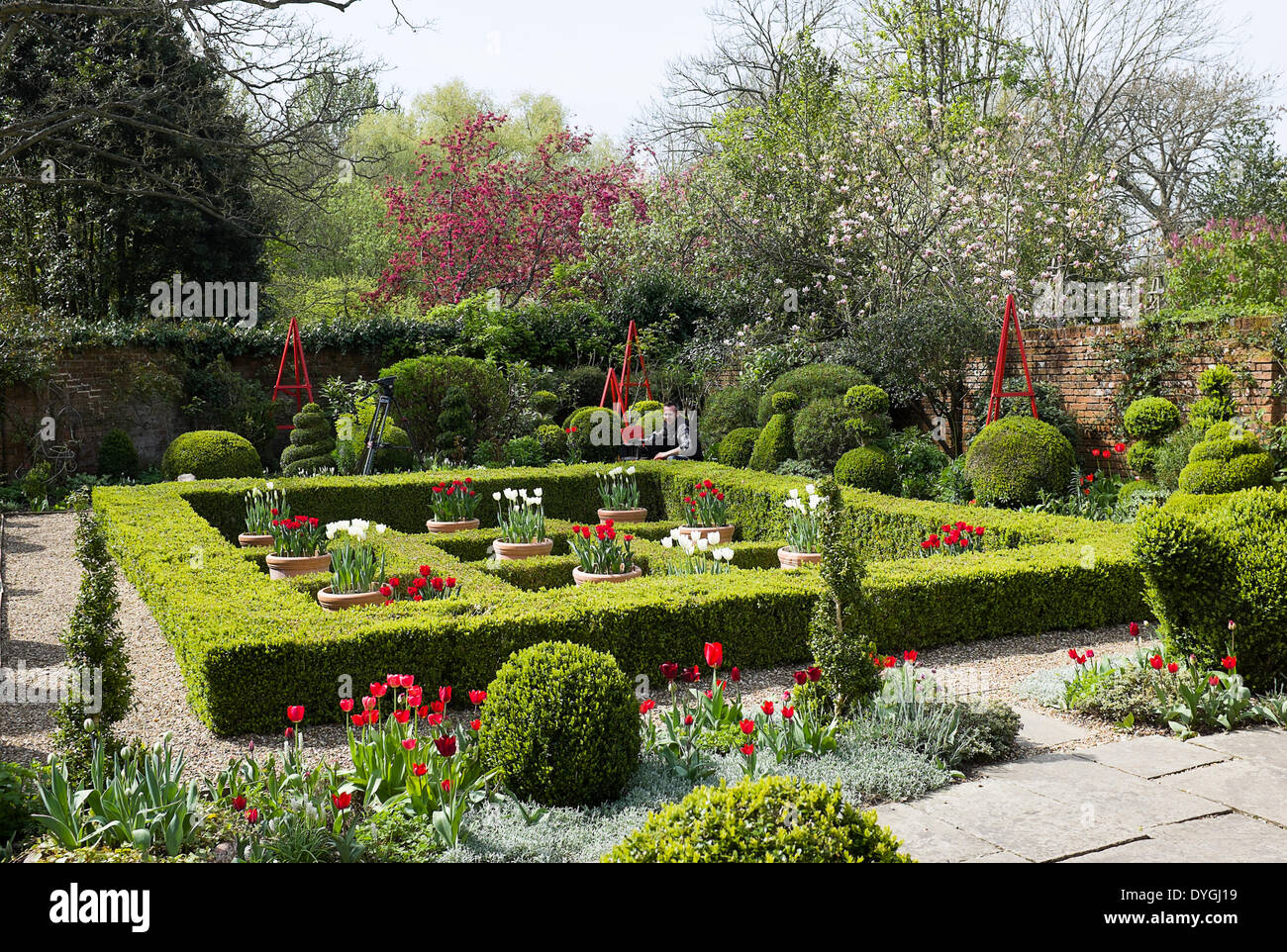 Una telecamera uomo vedute del giardino in preparazione per le riprese di un elemento su West Green House è entrata al 2014 RHS Chelsea Flower Show. Foto Stock