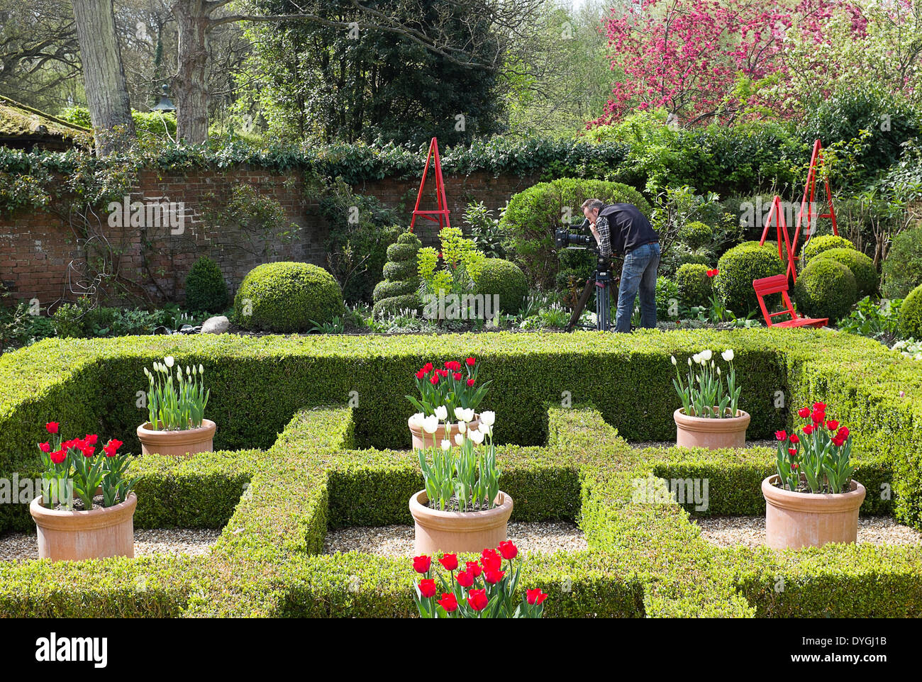 Un uomo della telecamera è filmare per un articolo su West Green House è entrata al 2014 RHS Chelsea Flower Show. Foto Stock