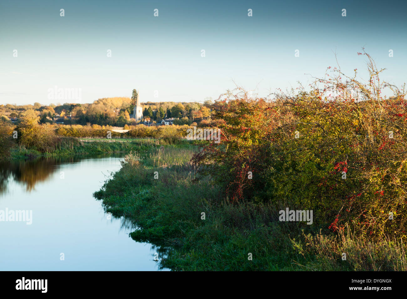 Una tranquilla scena nel tardo pomeriggio in autunno accanto al fiume Nene, guardando verso il villaggio di Denford vicino a Thrapston, Northamptonshire, Inghilterra. Foto Stock