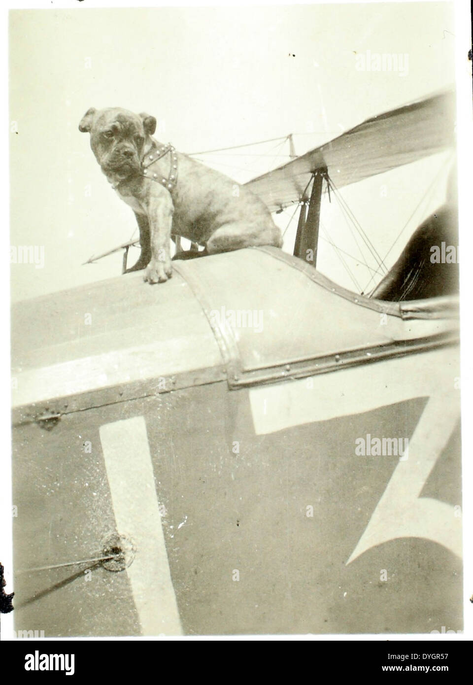 Questa foto fa parte della Theodore (TP) Hall Collection, che mostra momenti significativi nella storia dell'aviazione. TP Hall è stata una figura rinomata nel documentare i primi traguardi dell'aviazione e la progettazione di aeromobili. Foto Stock
