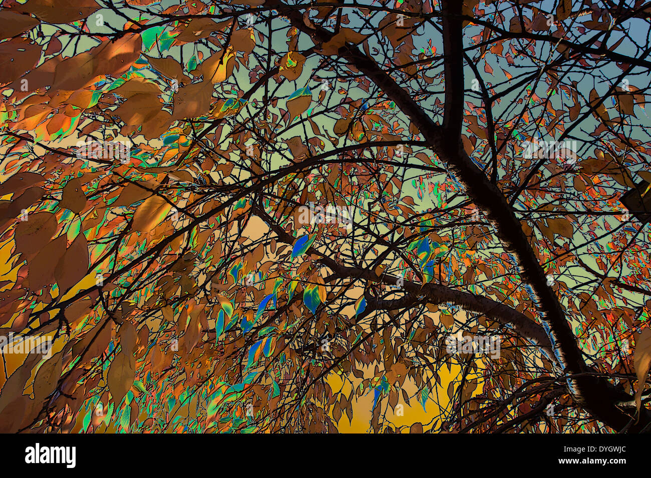Foglie di autunno utilizzando bordi Poster e filtri Solarized Foto Stock