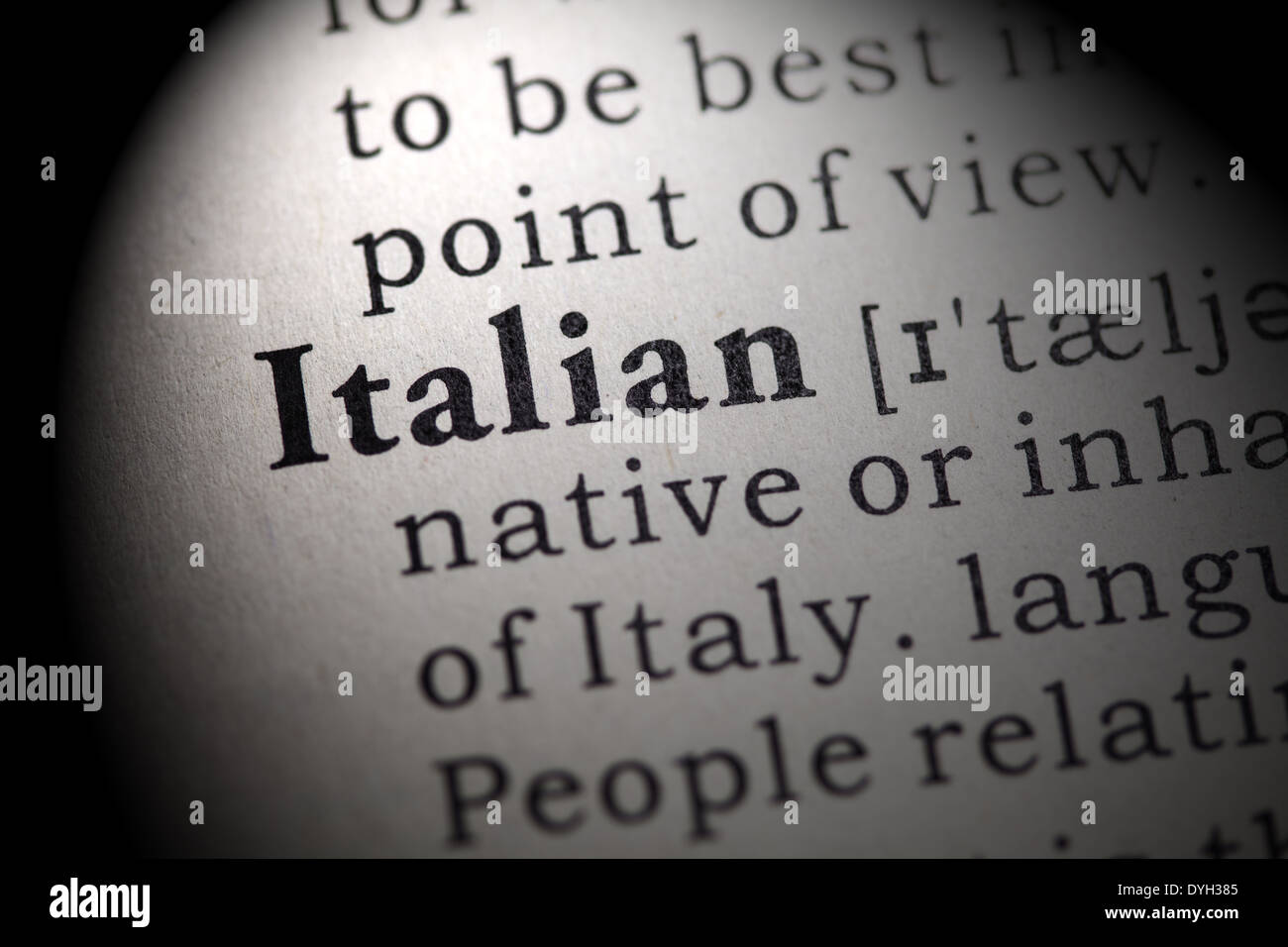Fake Dizionario, definizione della parola dal dizionario italiano Foto  stock - Alamy