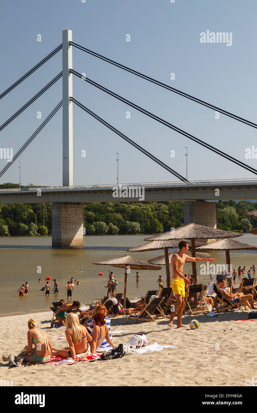 Strand spiaggia e sloboda bridge. Fiume Danubio, Novi Sad, Serbia, Europa Foto Stock