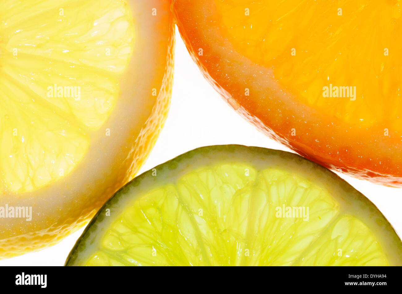 Fette di agrumi - limone, arancio, cedro. Foto Stock