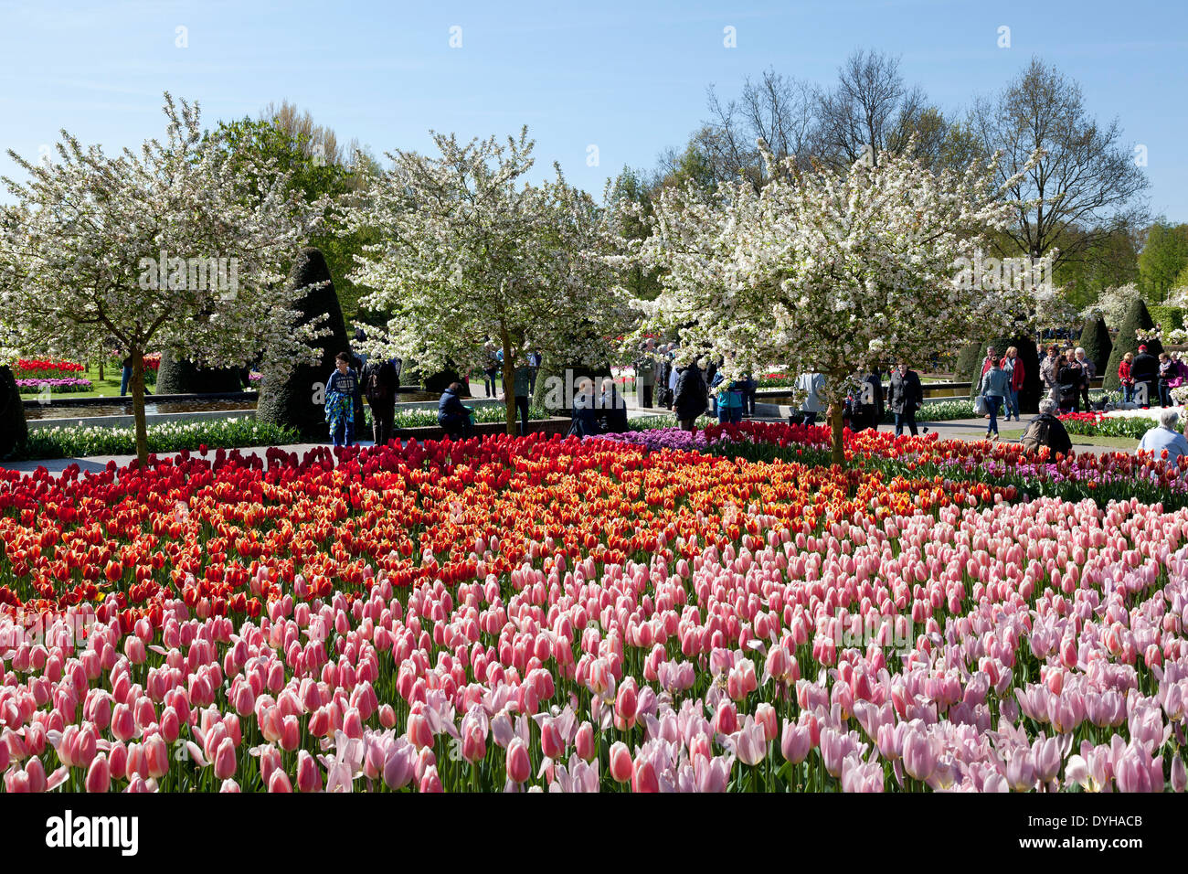 Tulipani e turisti del Keukenhof in Lisse, Olanda Foto Stock