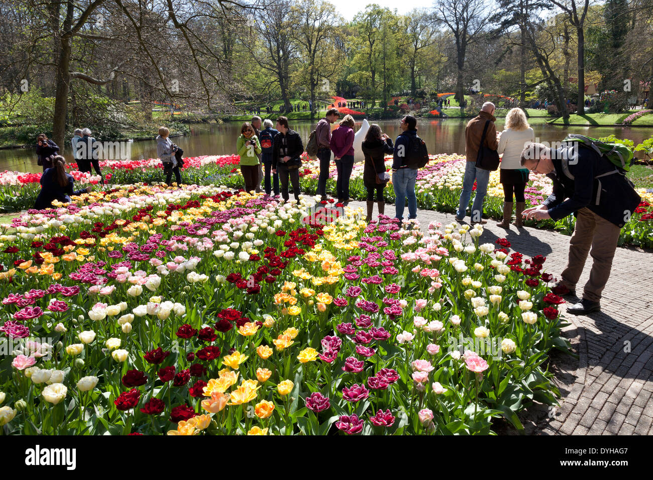 Tulipani e turisti del Keukenhof in Lisse, Olanda Foto Stock