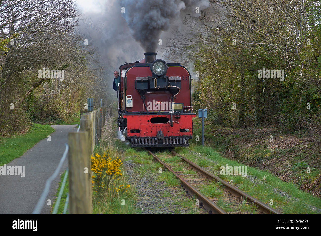 Welsh Highland Railway vicino a Caernarfon Foto Stock