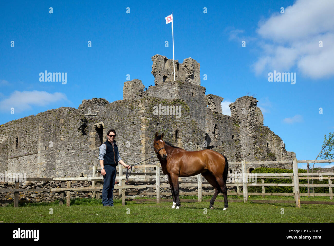 Middleham Castle, nello Yorkshire, Regno Unito. Il 18 aprile 2014. Ben Haslam con 'OPERTEUR' a nord thje Dales maneggio aperto giorno.Il maneggio Middleham Open Day è andato avanti nonostante racing essendo permesso il Venerdì Santo per la prima volta. Il suo futuro era stata minacciata con racing impostata per essere messa in scena a Musselburgh e a Lingfield. Ma dopo di Betfair ha continuato come sponsor e il Middleham Trainers Association ha deciso "all'unanimità" per continuare i due decenni di tradizione. Una dozzina di maneggio aperto le loro porte per l'evento. Foto Stock