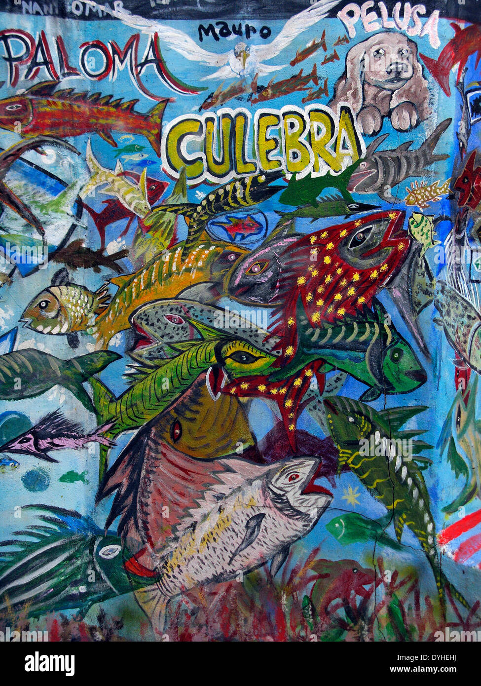 Isla Culebra Puerto Rico USA territorio pesce dipinta la parete del blocco Foto Stock