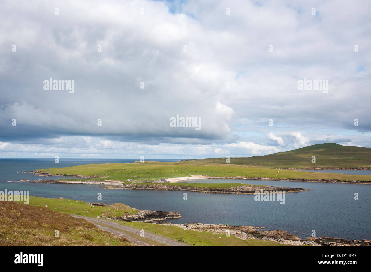 Isola di Noss, isole Shetland, Scotland, Regno Unito Foto Stock