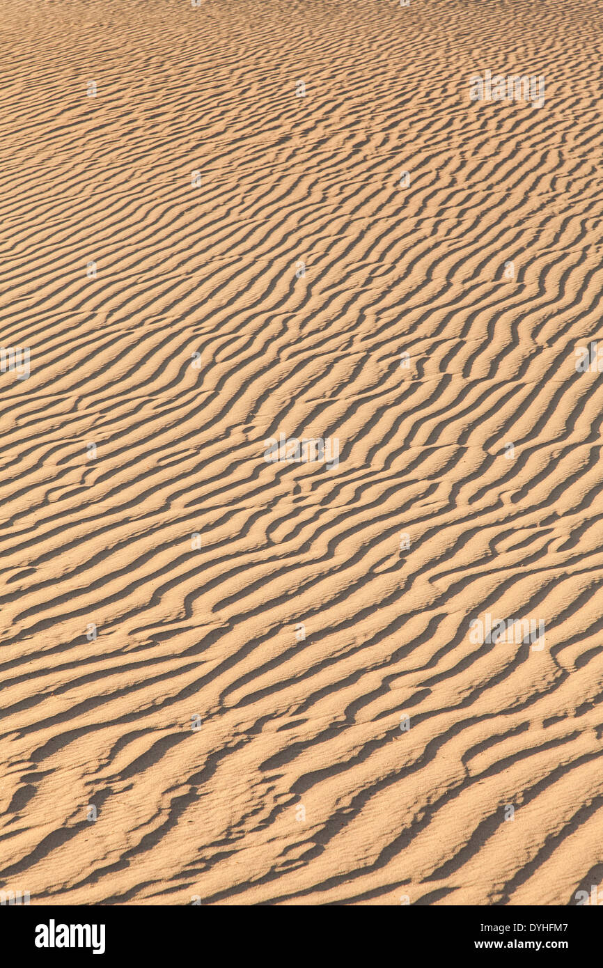 Le dune di sabbia di Mesquite piatto nella Valle della Morte nel deserto - California Foto Stock