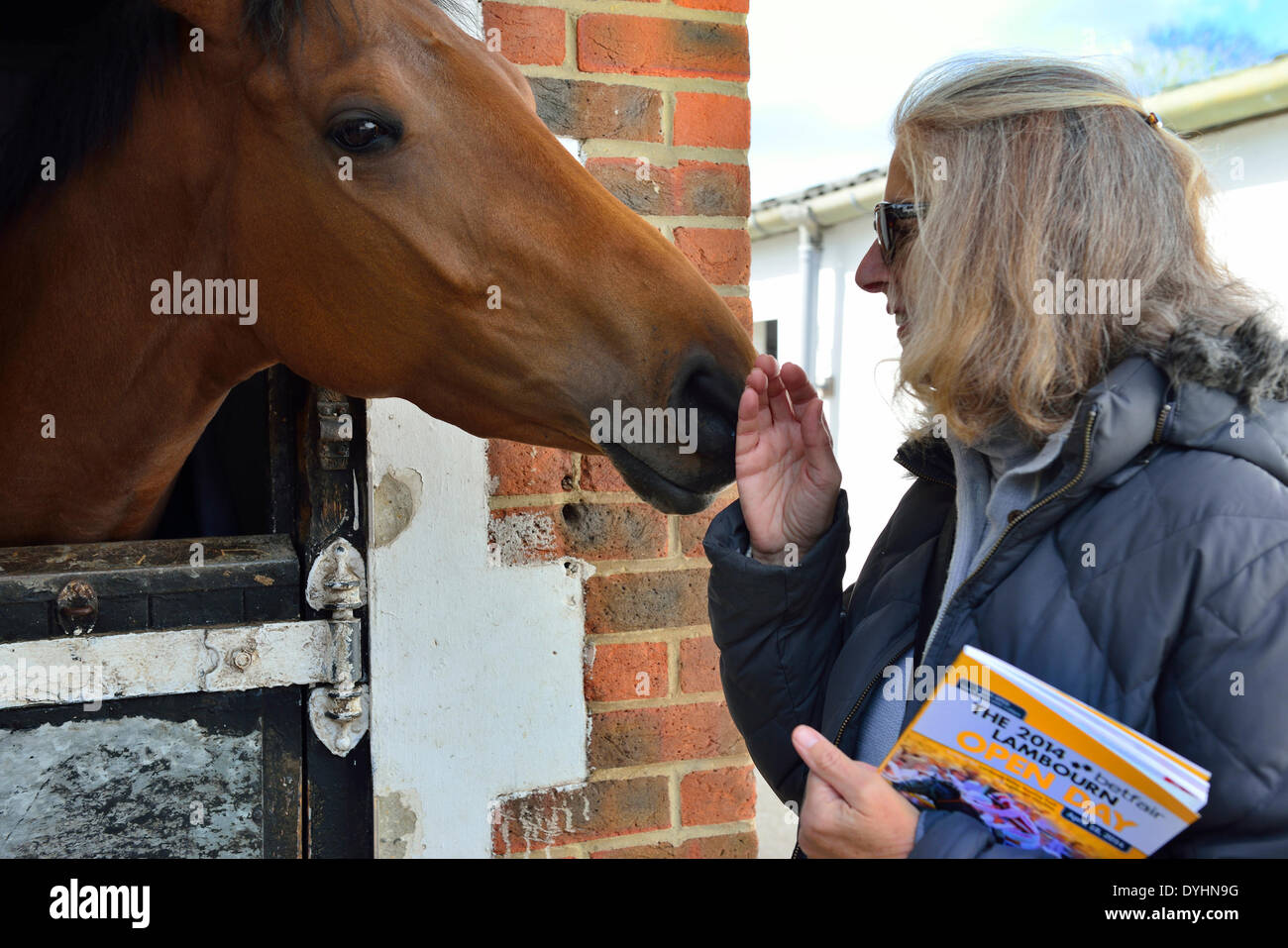 Lambourn , Berkshire, Regno Unito.-18.4.2014 -Lambourn Open Day. La open day è una opportunità unica per vedere i cavalli in istituti di formazione in tutta la valle di Lambourn. Più di 30 formatori hanno aperto i loro cantieri di pubblico e oltre diecimila persone che dovrebbero cogliere l opportunità di incontrare i cavalli, formatori e realmente per vedere il primo mani la Lambourn racing industry. Foto Stock