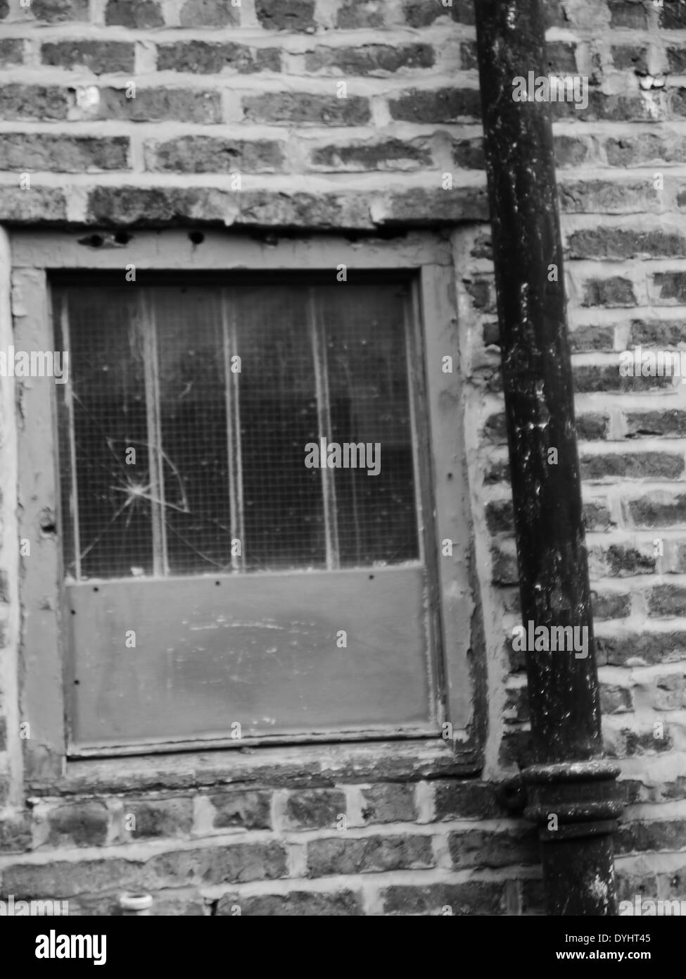 / Abbandonate abbandonate / run-down che mostra proprietà c tormentati in finestra e down-tubo di lancio, Newcastle upon Tyne, Regno Unito - B&W Foto Stock