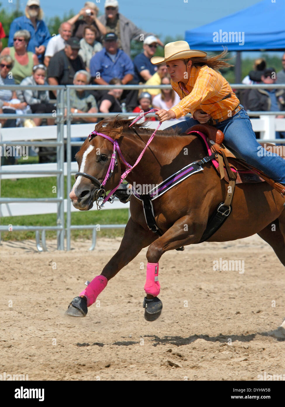 Rodeo Corsa della botte, Cowgirl Foto Stock