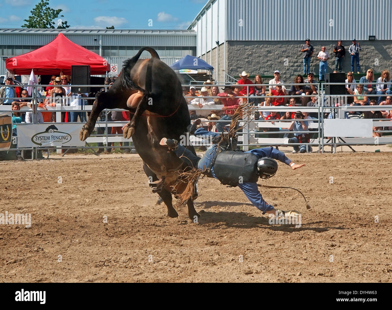 Rodeo, Bull ride Foto Stock