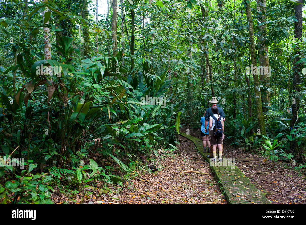 Studenti ricercatori escursione su sentieri durante gli studi universitari presso la Selva La stazione biologica in Sarapiqui de Viejo, Costa Rica Foto Stock