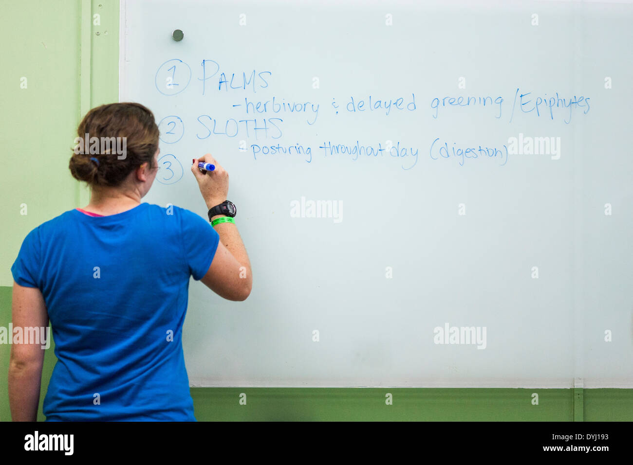 Lo studente scrive un progetto su whitebaord durante gli studi universitari presso la Selva La stazione biologica in Sarapiqui de Viejo, Costa Rica Foto Stock