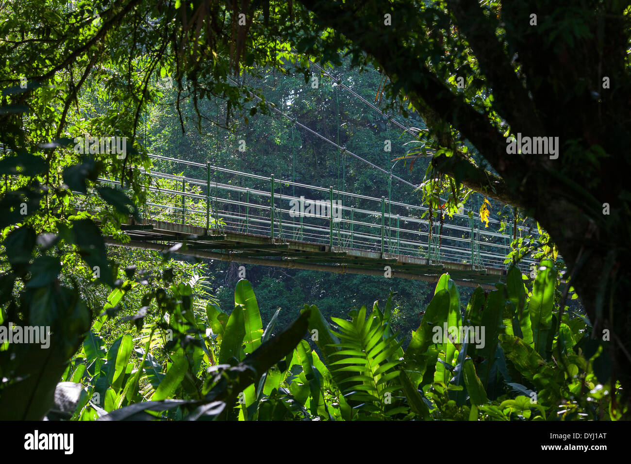 Un ponte di sospensione sulla scia di un tour della natura a La Selva La stazione biologica in Sarapiqui de Viejo, Costa Rica Foto Stock