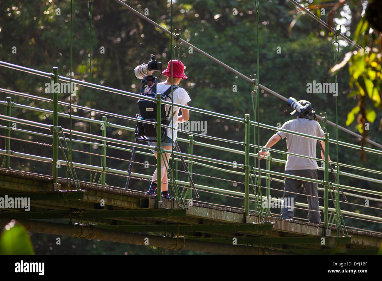 Fotografi a piedi attraversando un ponte su un percorso guidato tour della natura a La Selva La stazione biologica in Sarapiqui de Viejo, Costa Rica Foto Stock