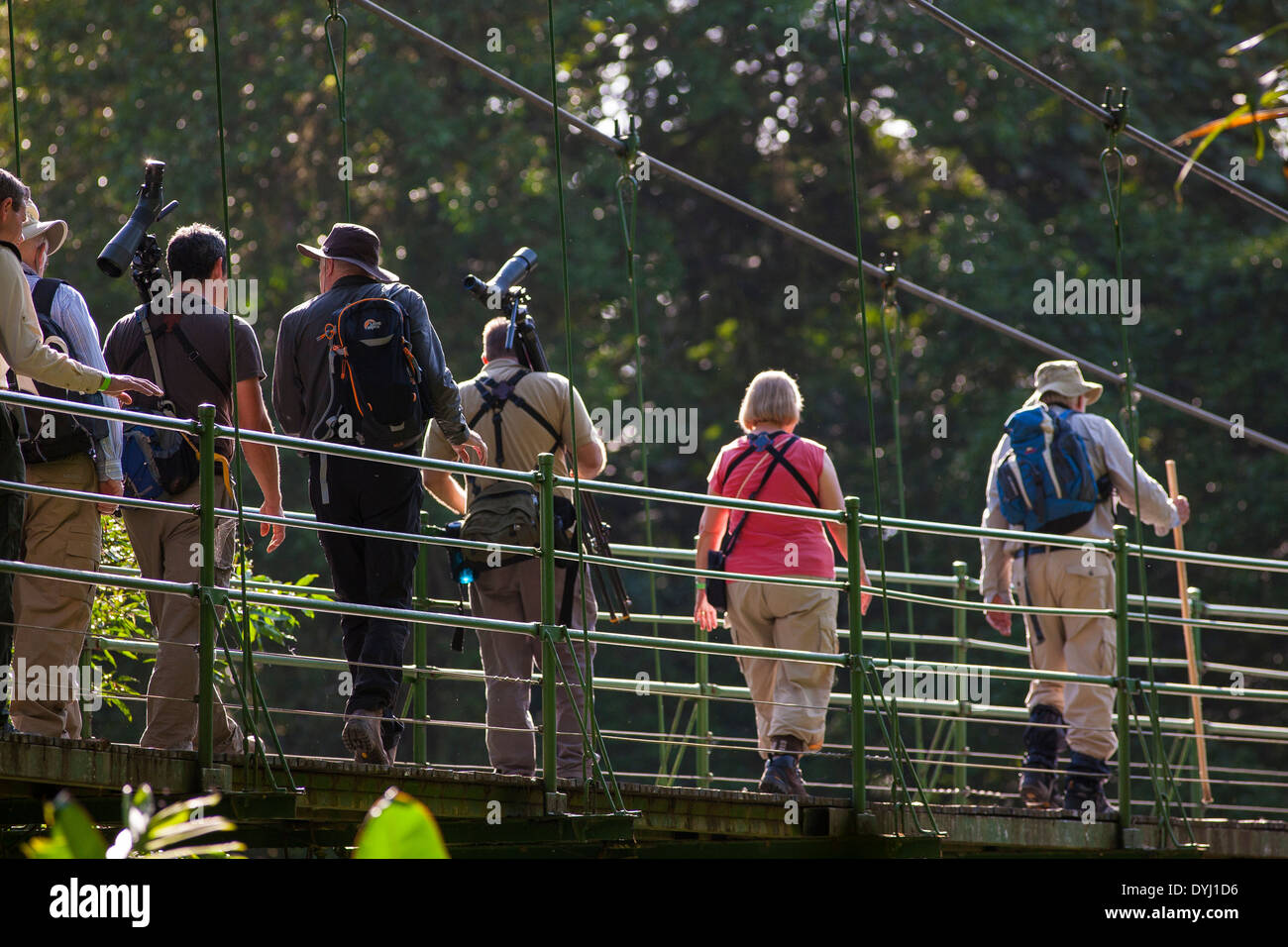 Gruppo di visitatori a piedi attraversando un ponte su un percorso guidato tour della natura a La Selva La stazione biologica in Sarapiqui de Viejo, Costa Rica Foto Stock