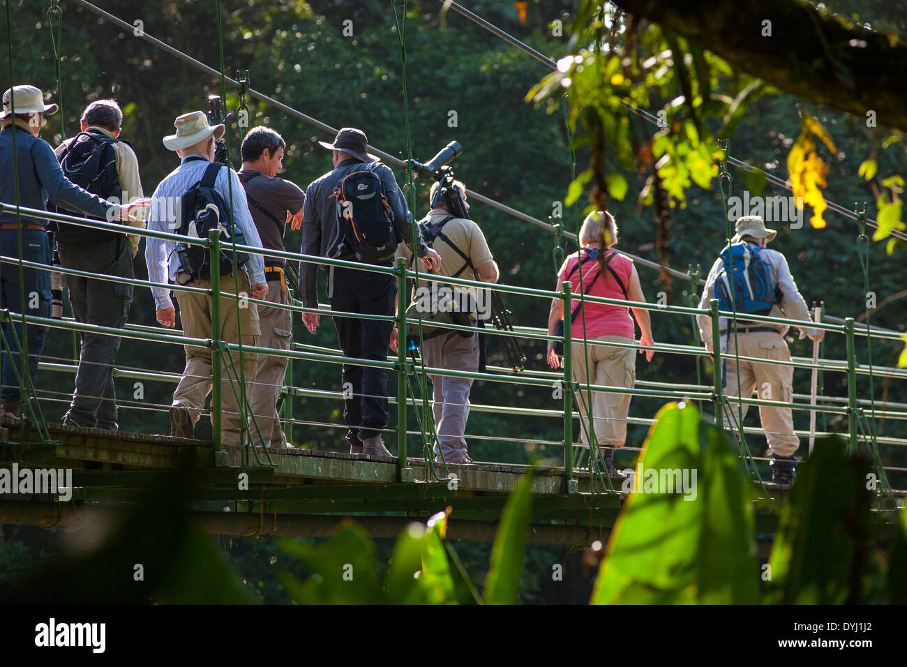 Gruppo di visitatori a piedi attraversando un ponte su un percorso guidato tour della natura a La Selva La stazione biologica in Sarapiqui de Viejo, Costa Rica Foto Stock