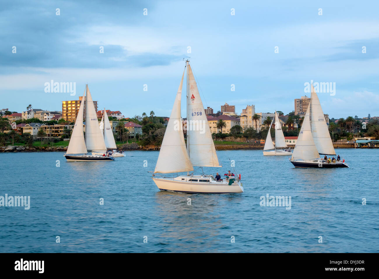Sydney Australia,Sydney Harbour,porto,Parramatta River,barche a vela,Lower North Shore,Neighborhood,AU140307116 Foto Stock