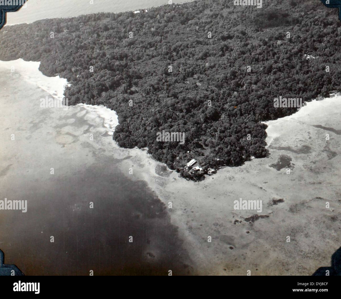 Questa immagine mostra il Consolidated PB4Y degli squadroni VP-14/VP-102/VPB-102 durante una missione di combattimento nella seconda guerra mondiale. Questi squadroni di pattuglia operavano nei teatri del Pacifico e dell'Atlantico. Foto Stock