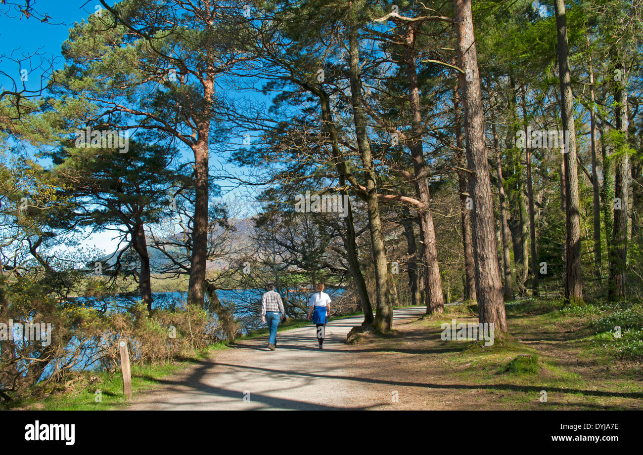 Derwentwater, Keswick, Cumbria, Regno Unito. Il 19 aprile 2014. I turisti a piedi attraverso il bosco in prossimità di Friar's roccioso da Derwentwater. Credito: Julie friggitrice/Alamy Live News Foto Stock