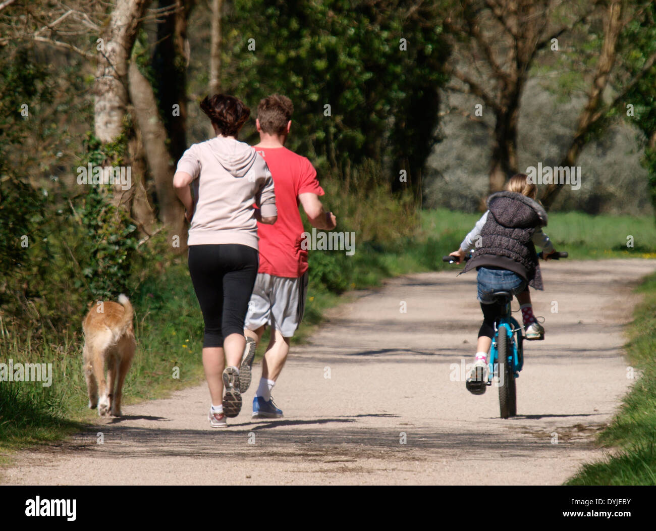 La famiglia mantenendo montare insieme sul sentiero del cammello tra St Albans e Bodmin, Cornwall, Regno Unito Foto Stock