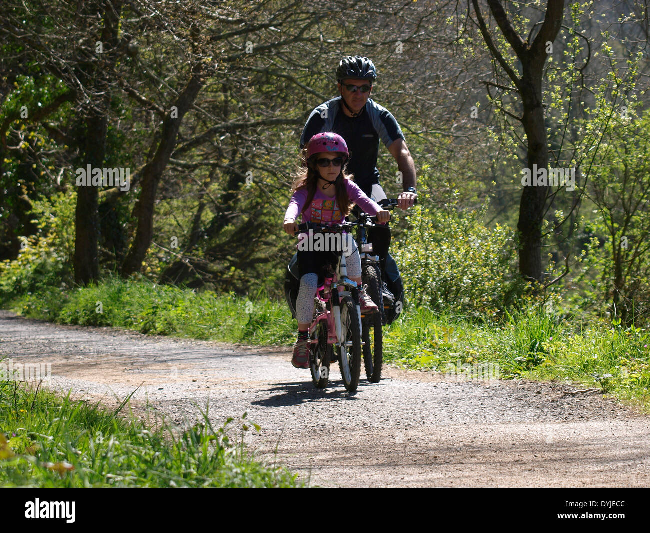 Padre e figlia in bicicletta il Camel trail tra St Albans e Bodmin, Cornwall, Regno Unito Foto Stock