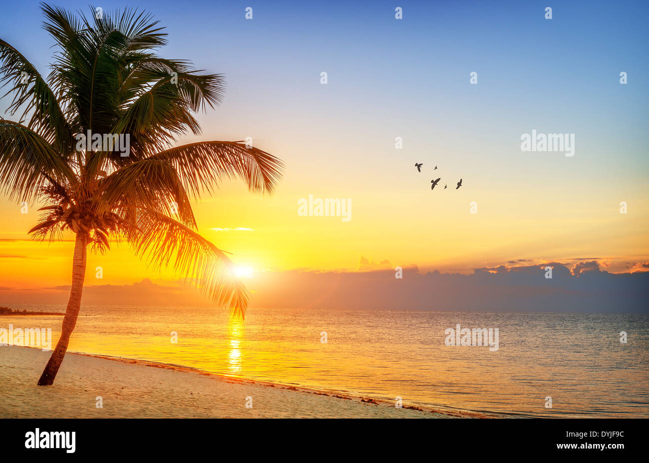 Bellissima alba a Key West, Florida, Stati Uniti d'America Foto Stock