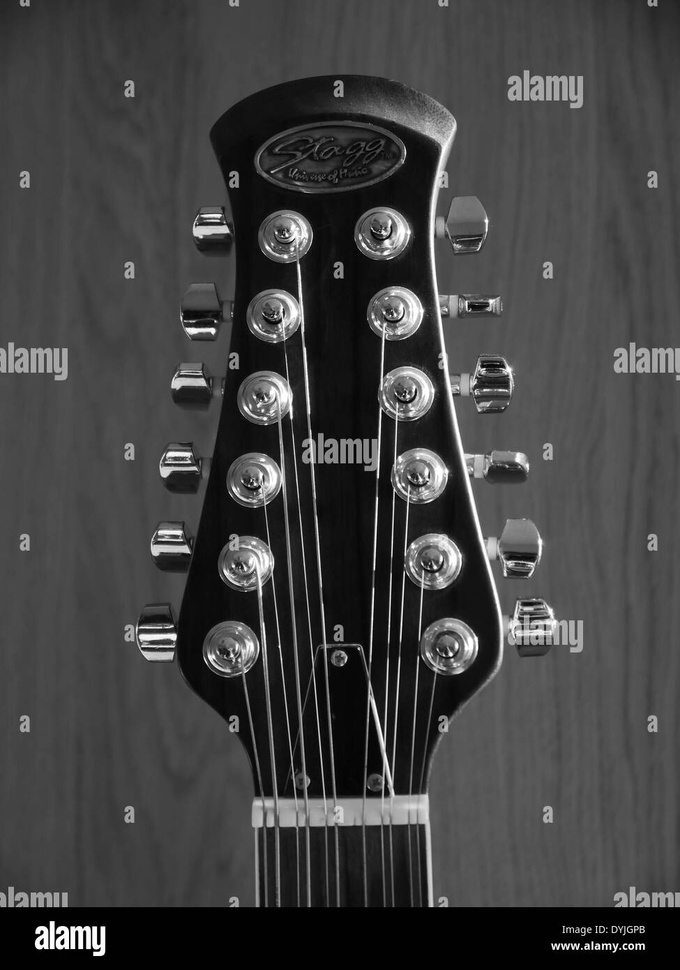 Testa-stock di stringa 12 Stagg elettro/chitarra acustica che mostra chrome piroli, stringhe e dado - Vista frontale - monocromatico Foto Stock