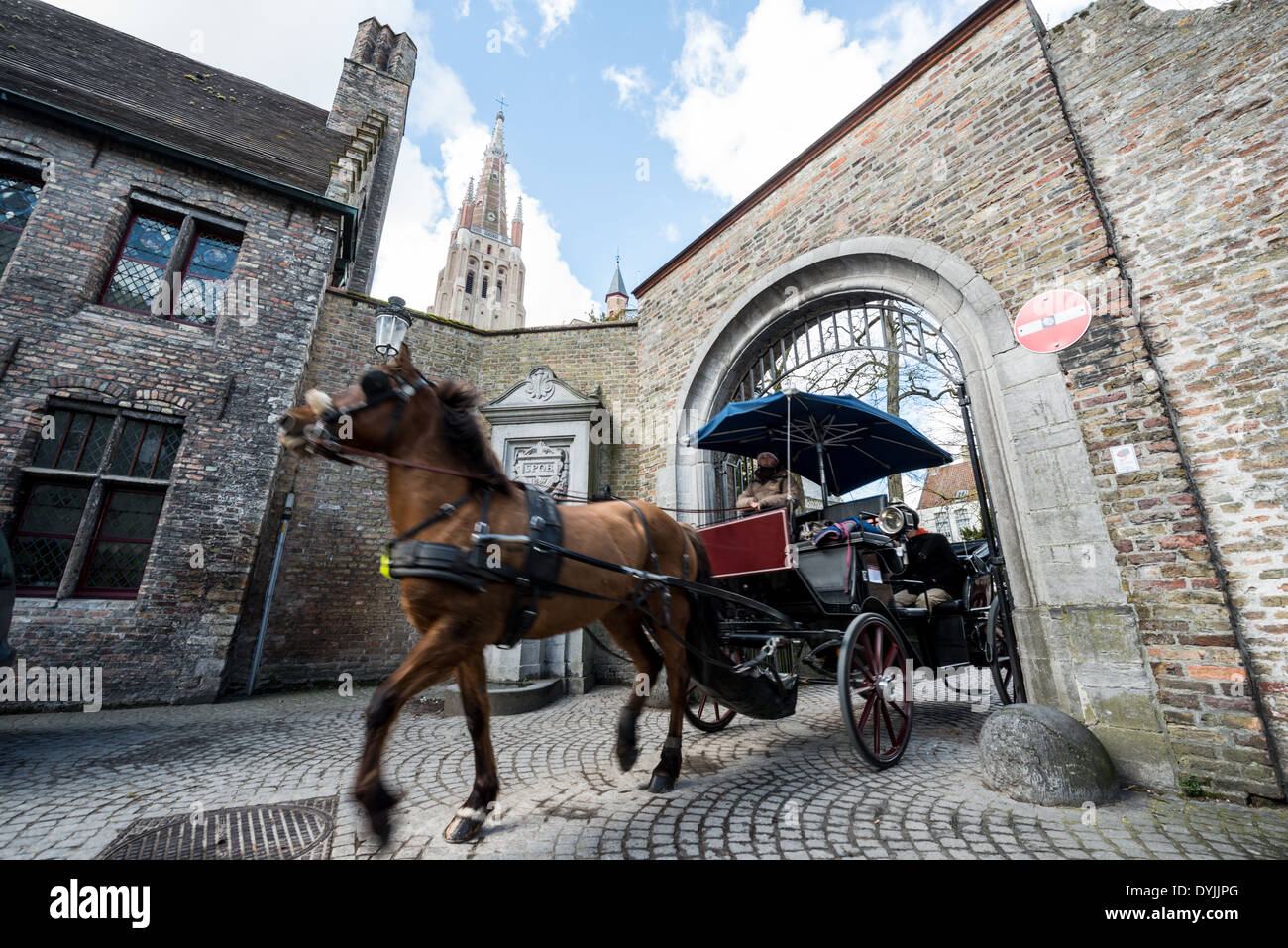 Tour in carrozza trainata da cavalli Bruges Belgio // BRUGES, Belgio - i turisti possono sperimentare l'atmosfera medievale del centro storico di Bruges da una tradizionale carrozza trainata da cavalli su strade acciottolate. Questo popolare metodo turistico offre ai visitatori una prospettiva romantica della città patrimonio dell'umanità dell'UNESCO. I tour in carrozza mantengono una tradizione secolare di trasporto trainato da cavalli nel nucleo storico di Bruges. Foto Stock