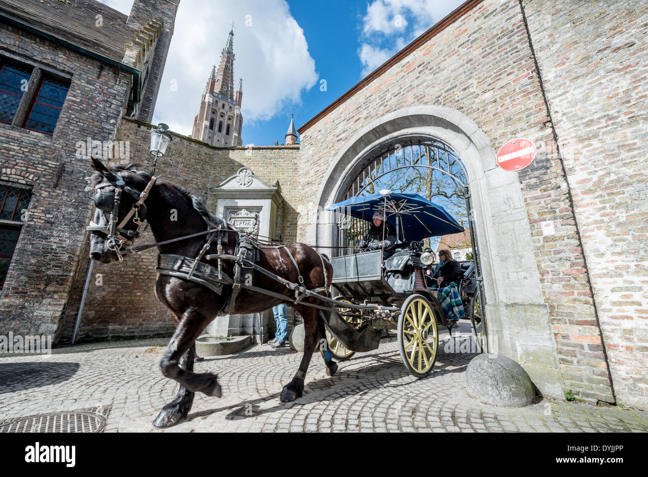 Tour in carrozza trainata da cavalli Bruges Belgio // BRUGES, Belgio - i turisti possono sperimentare l'atmosfera medievale del centro storico di Bruges da una tradizionale carrozza trainata da cavalli su strade acciottolate. Questo popolare metodo turistico offre ai visitatori una prospettiva romantica della città patrimonio dell'umanità dell'UNESCO. I tour in carrozza mantengono una tradizione secolare di trasporto trainato da cavalli nel nucleo storico di Bruges. Foto Stock