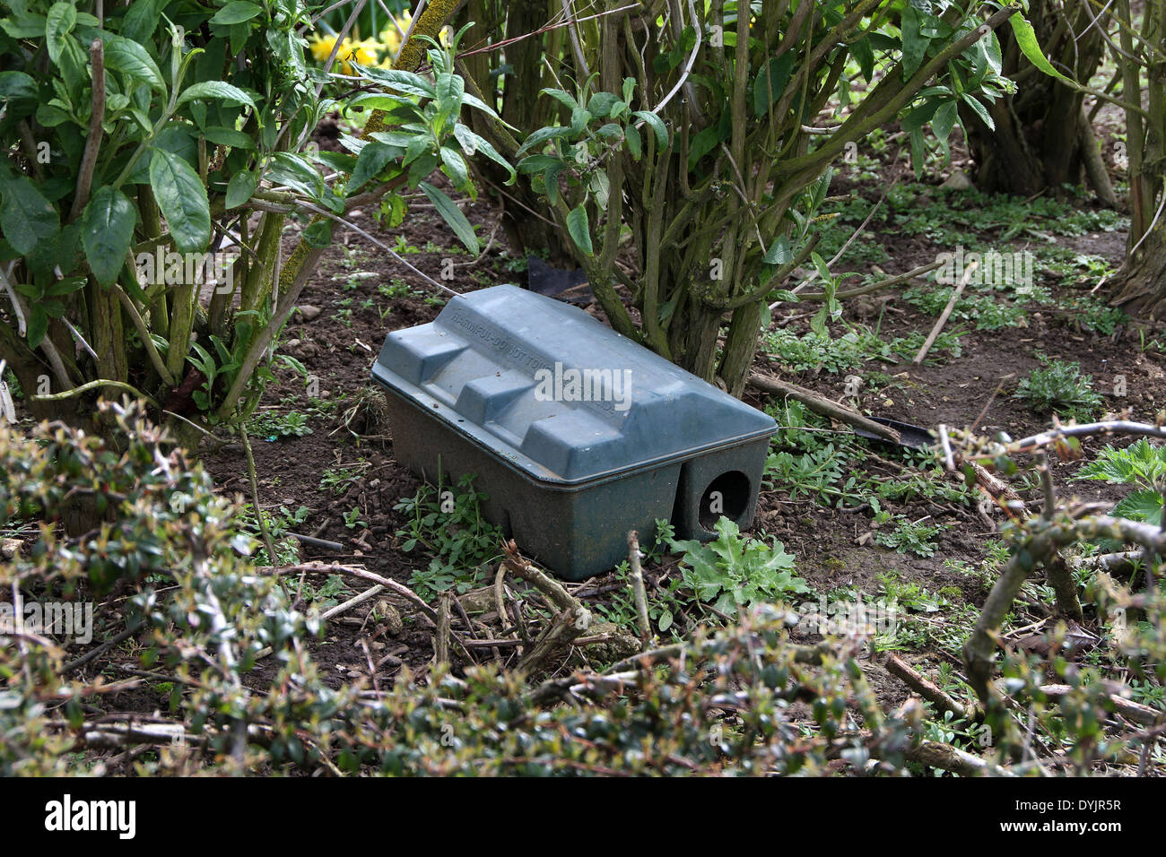 Grosso roditore veleno casella di controllo nella zona del giardino. Foto Stock