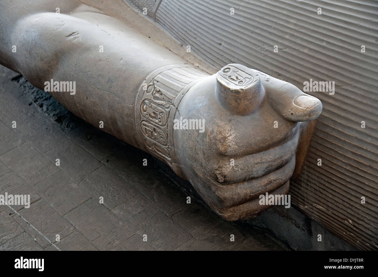 Memphis: la gigantesca statua del faraone Ramses II.Dettaglio di un braccio con il cartiglio. Foto Stock