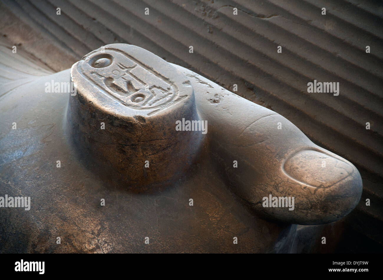 Memphis: la gigantesca statua del faraone Ramses II.dettaglio di una mano con il cartiglio. Foto Stock