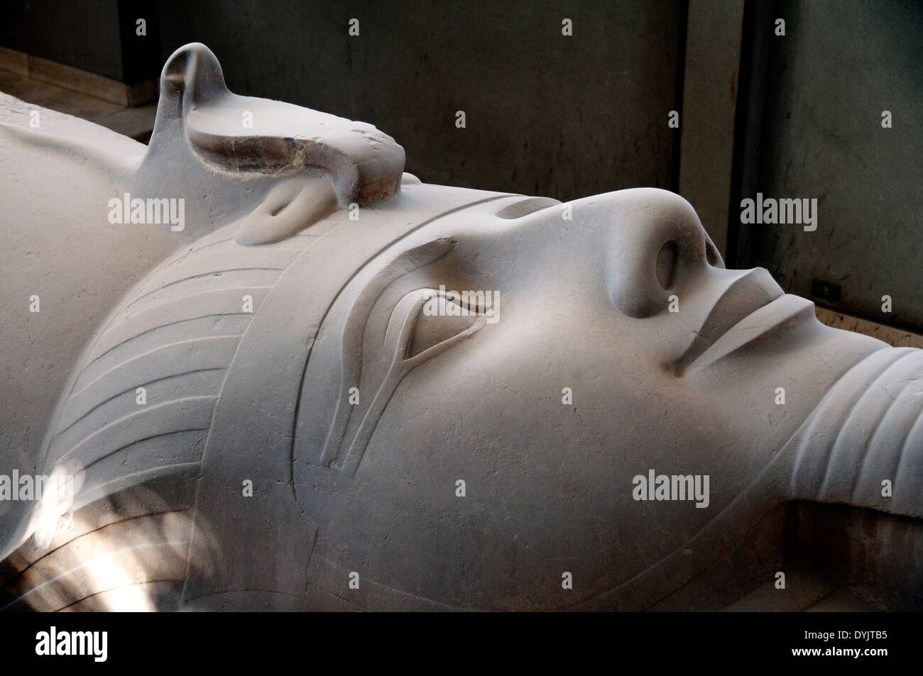 Memphys: la gigantesca statua del faraone Ramses II.dettaglio della testa. Foto Stock