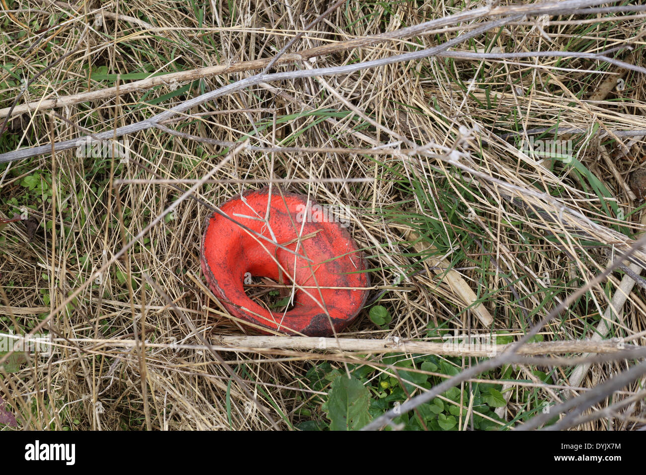 Macchine agricole parti perse garbage wetland asciutto erba e piante morte Foto Stock