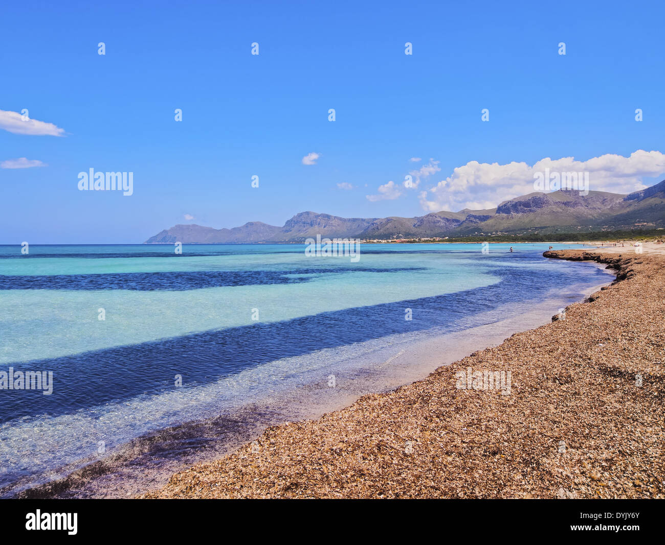 Spiaggia della Baia di Alcudia vicino a Son Serra de Marina sul Maiorca, isole Baleari, Spagna Foto Stock